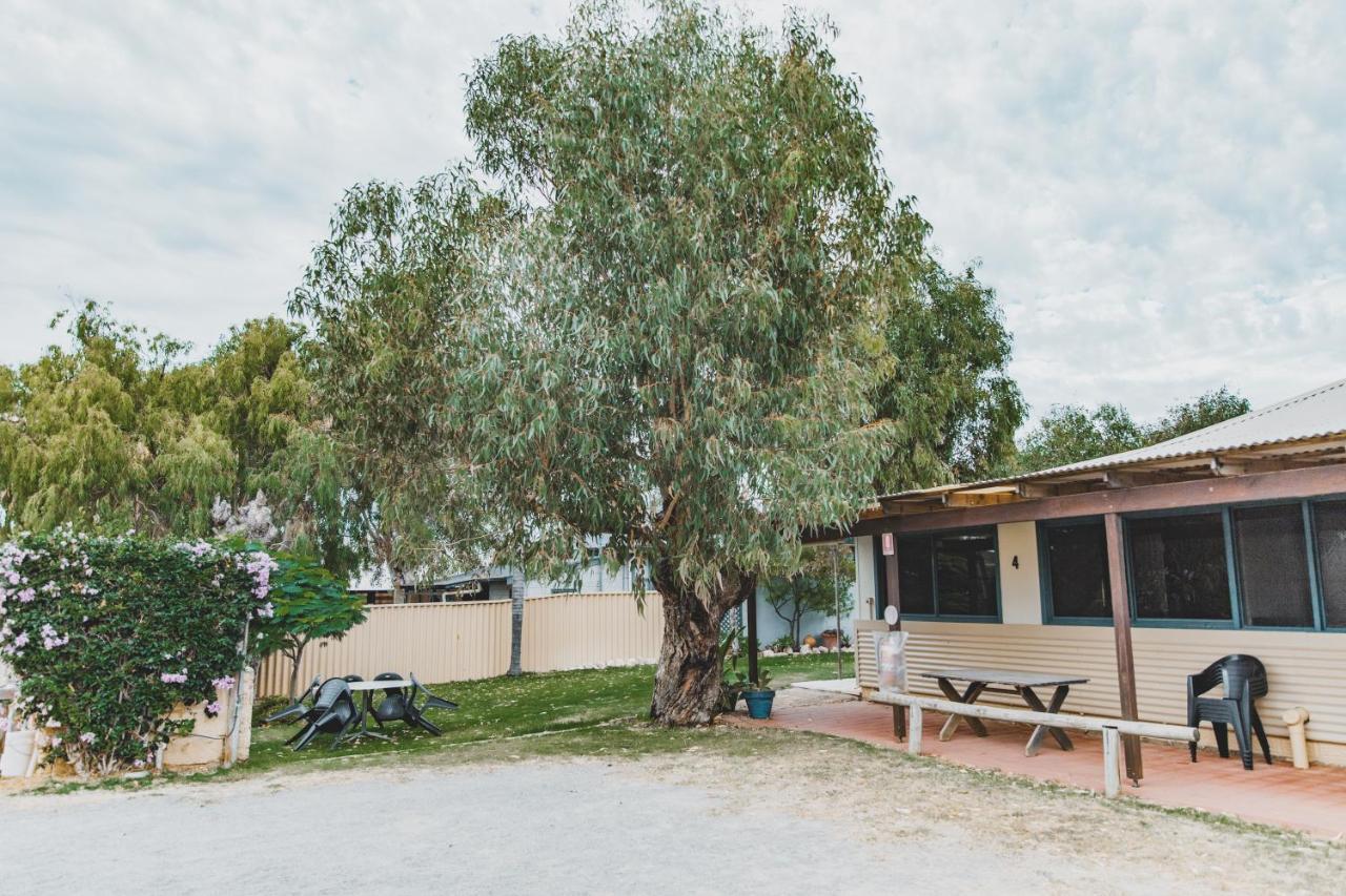 Dongara Hotel Motel Экстерьер фото